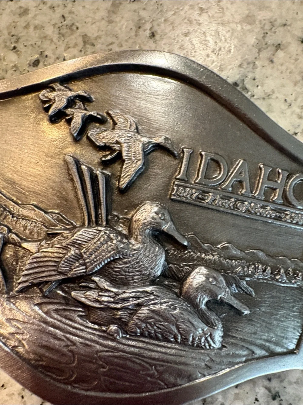 Idaho ducks pewter colored